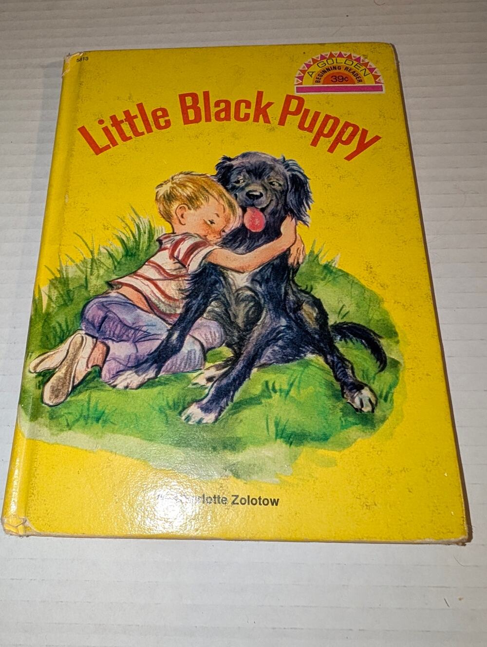 Vintage 1969 A Little Black Puppy Children's Picture Book Golden Begin Reading